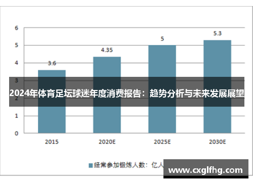 2024年体育足坛球迷年度消费报告：趋势分析与未来发展展望